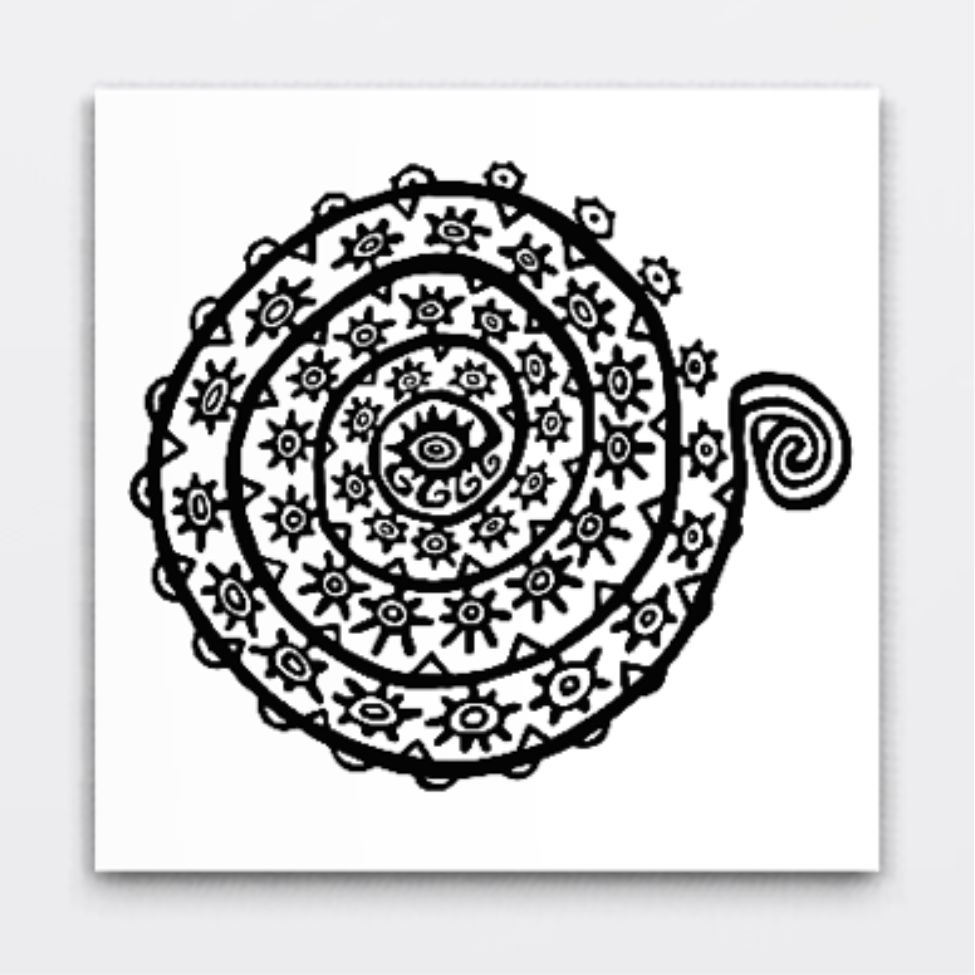 Ammonite